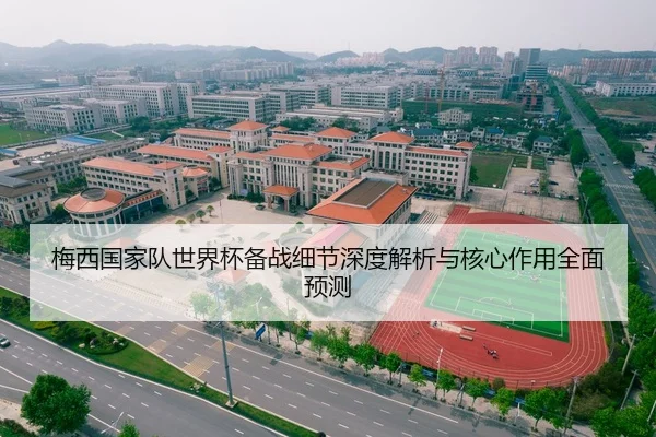 梅西国家队世界杯备战细节深度解析与核心作用全面预测 - CROWN SPORTS